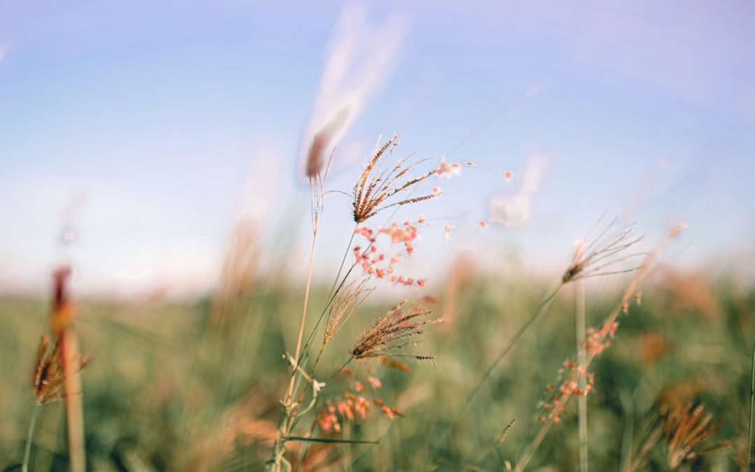 NaturalNews April 2013