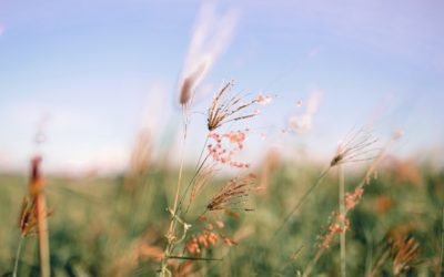 NaturalNews April 2013