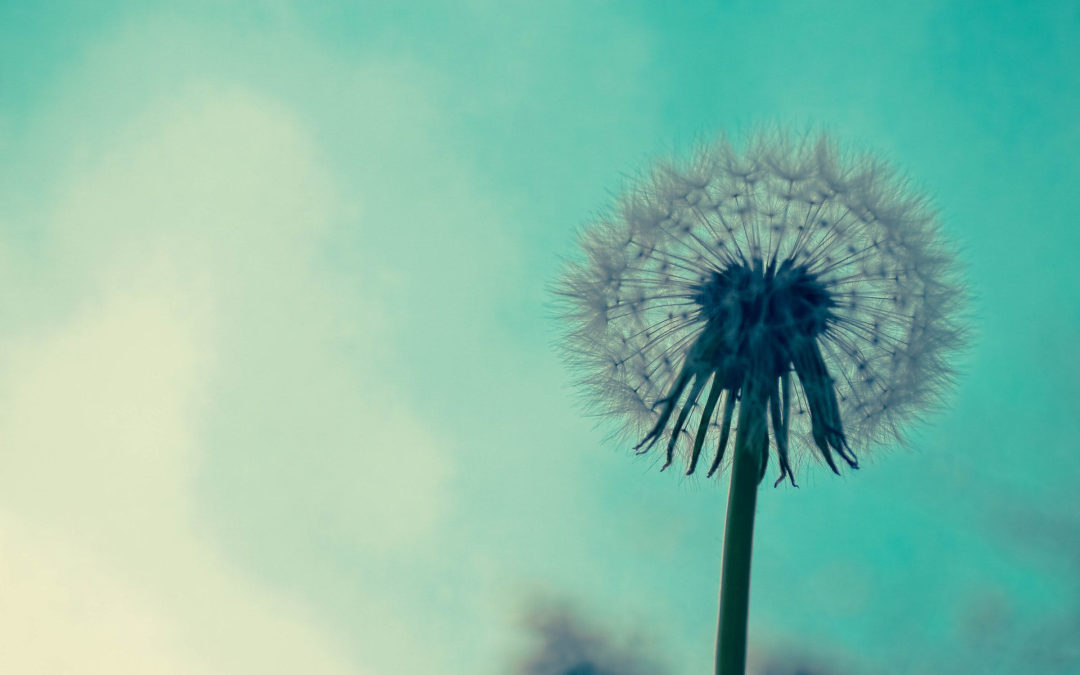 HYPNOSIS & HOLLYWOOD!