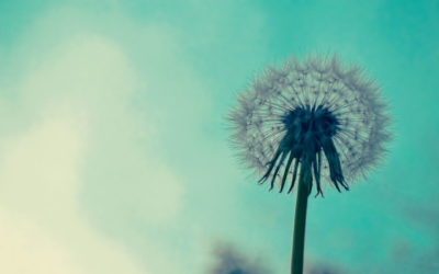 HYPNOSIS & HOLLYWOOD!